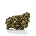 Alien OG