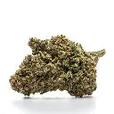 Forbidden Fruit