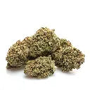Forbidden Fruit
