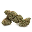 Alien OG